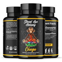 Chaga Organic Mushroom  Capsules