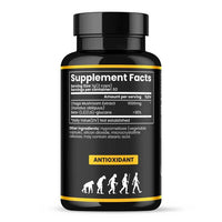 Chaga Organic Mushroom  Capsules