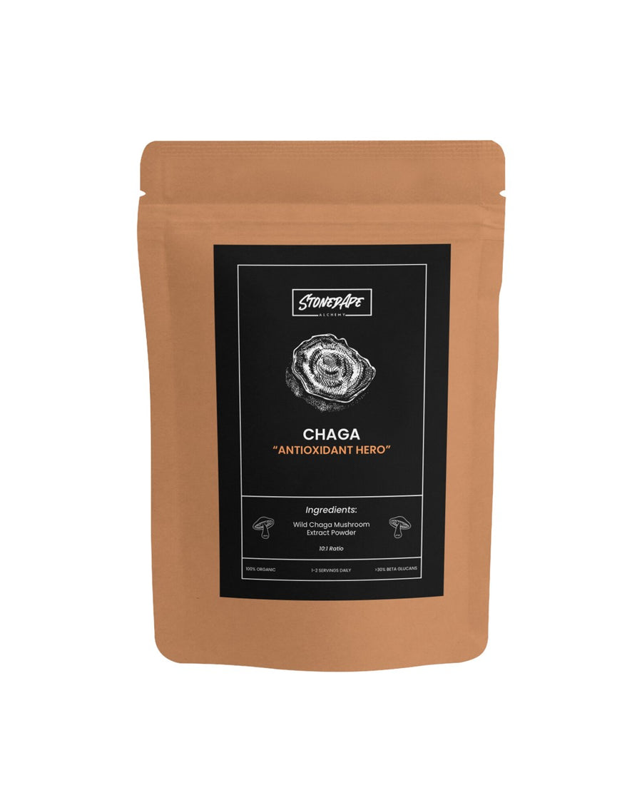 Chaga Organic Extract Powder